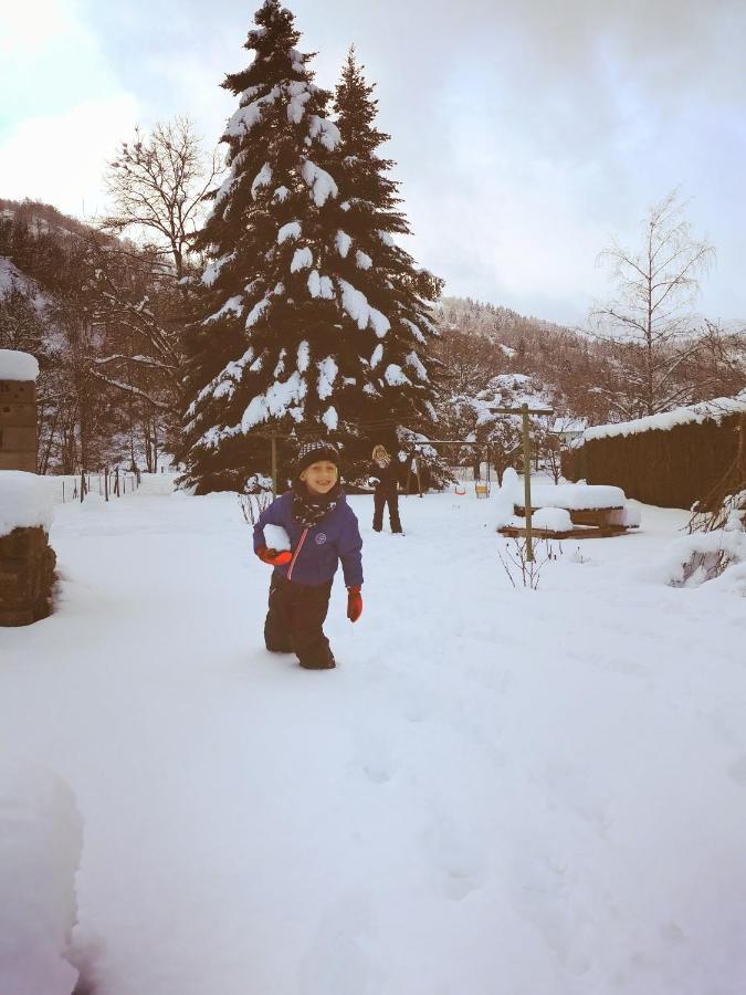 Carpe Diem - Cote-Montagnes Oderen Экстерьер фото