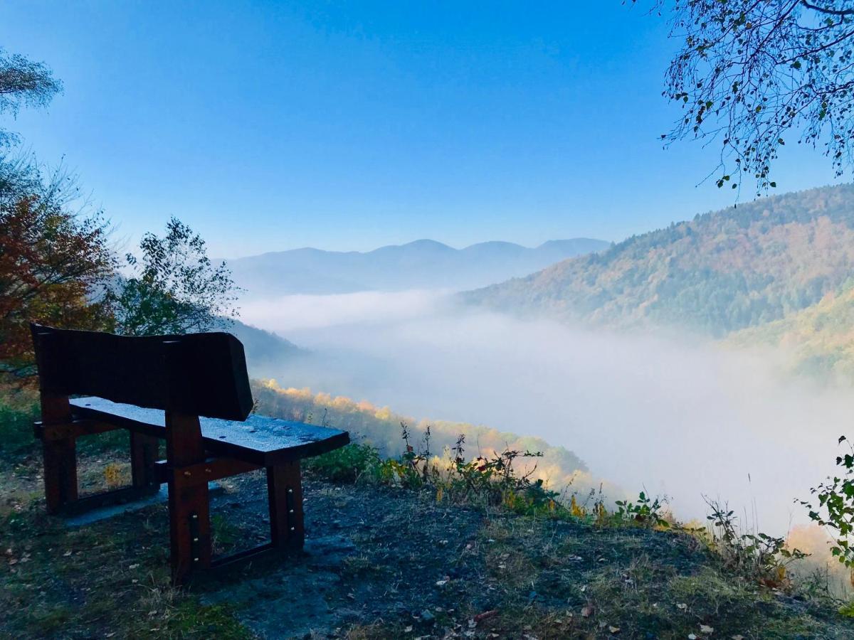 Carpe Diem - Cote-Montagnes Oderen Экстерьер фото